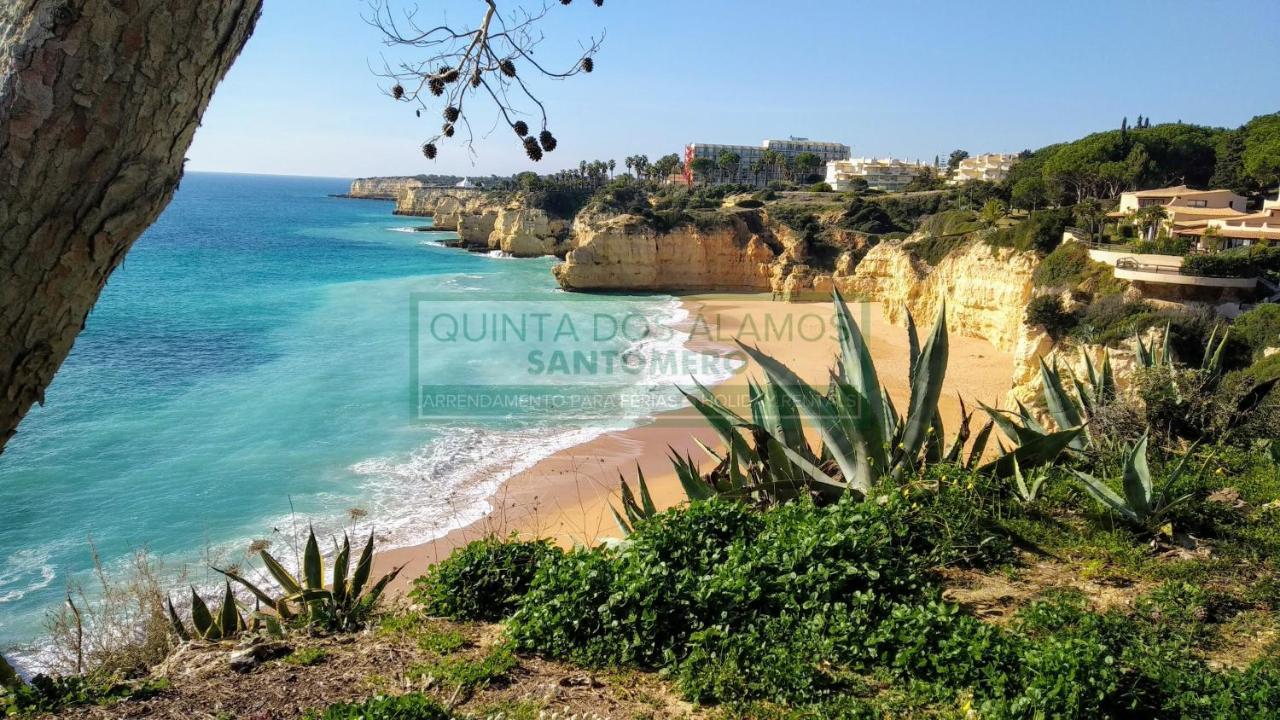 Apartamento Vitismar Ca Guia  Bagian luar foto